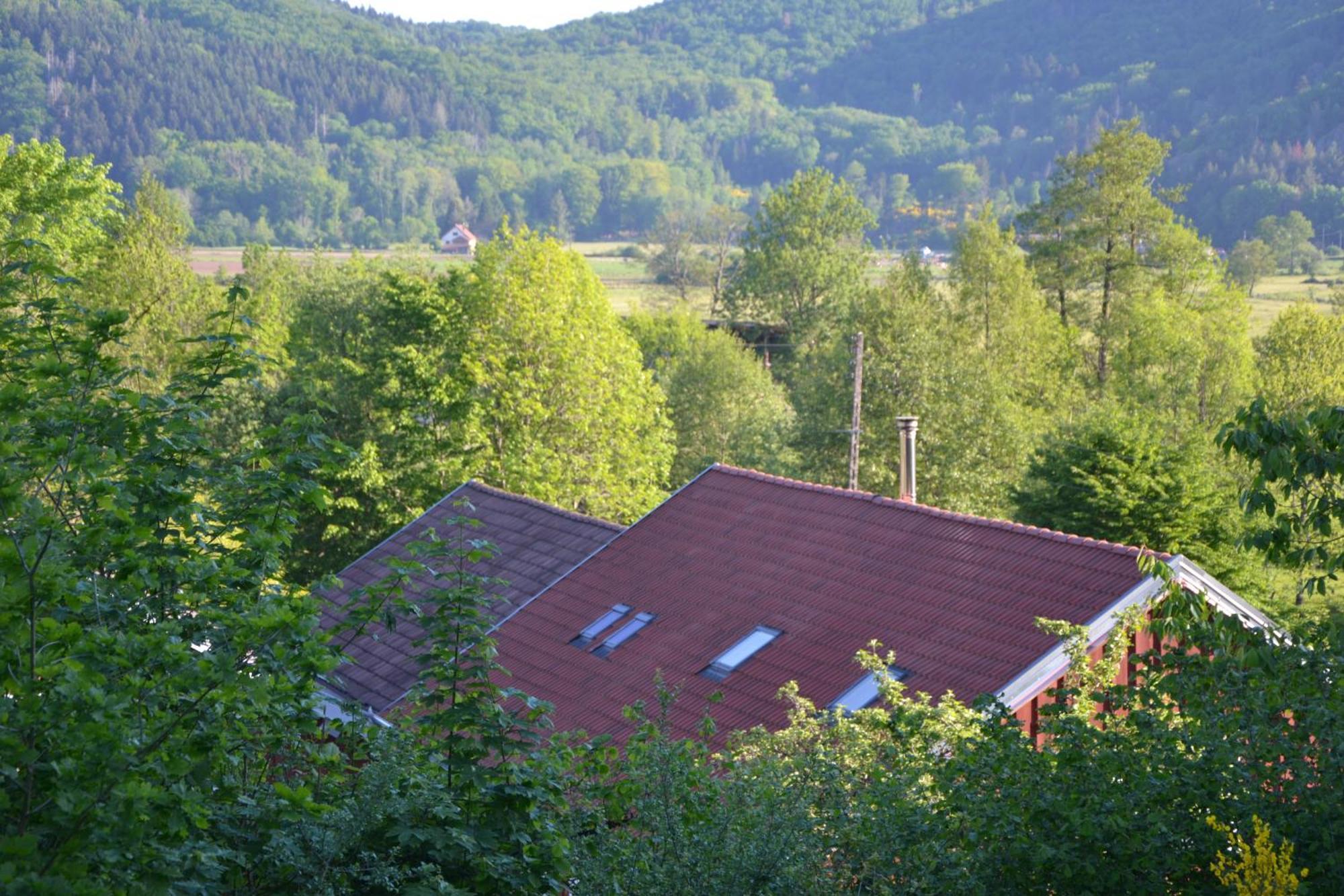 Chalet Des Aigrettes, Les 1000 Etangs La Voivre  Exterior photo